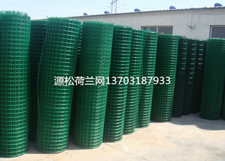 綠色方格圍欄網(wǎng)